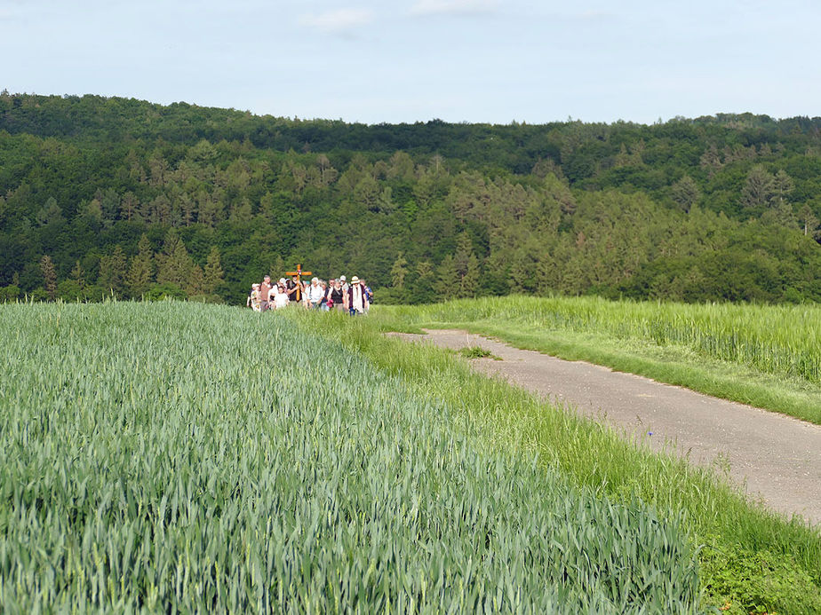 Baunataler Wallfahrt zur Naumburger Fatima Grotte (Foto: Karl-Franz Thiede)